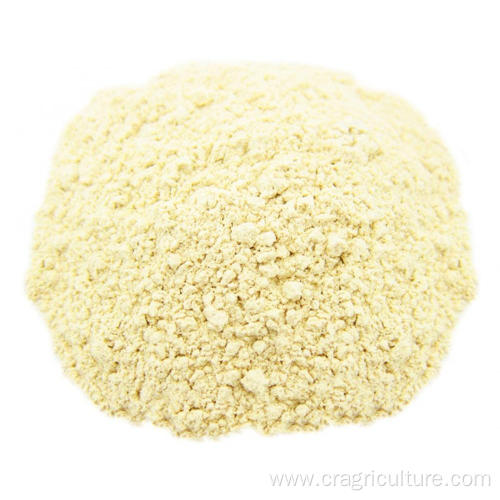 Organic Garlic Powder Bulk For Sale